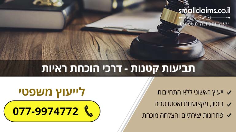 תביעות קטנות - דרכי הוכחת ראיות